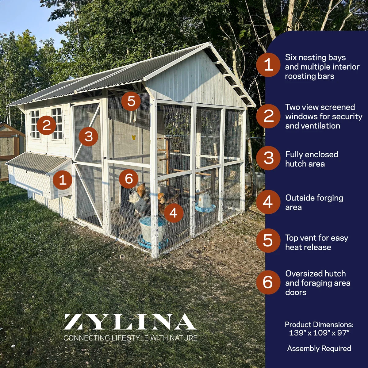 105.22 Square Feet Chicken Coop with Chicken Run For Up To 26 Chickens