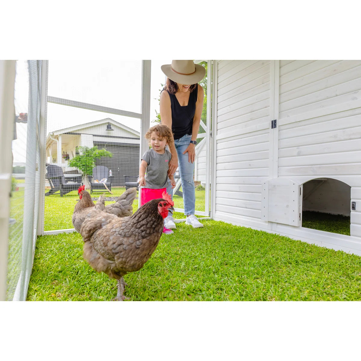 105.22 Square Feet Chicken Coop with Chicken Run For Up To 26 Chickens