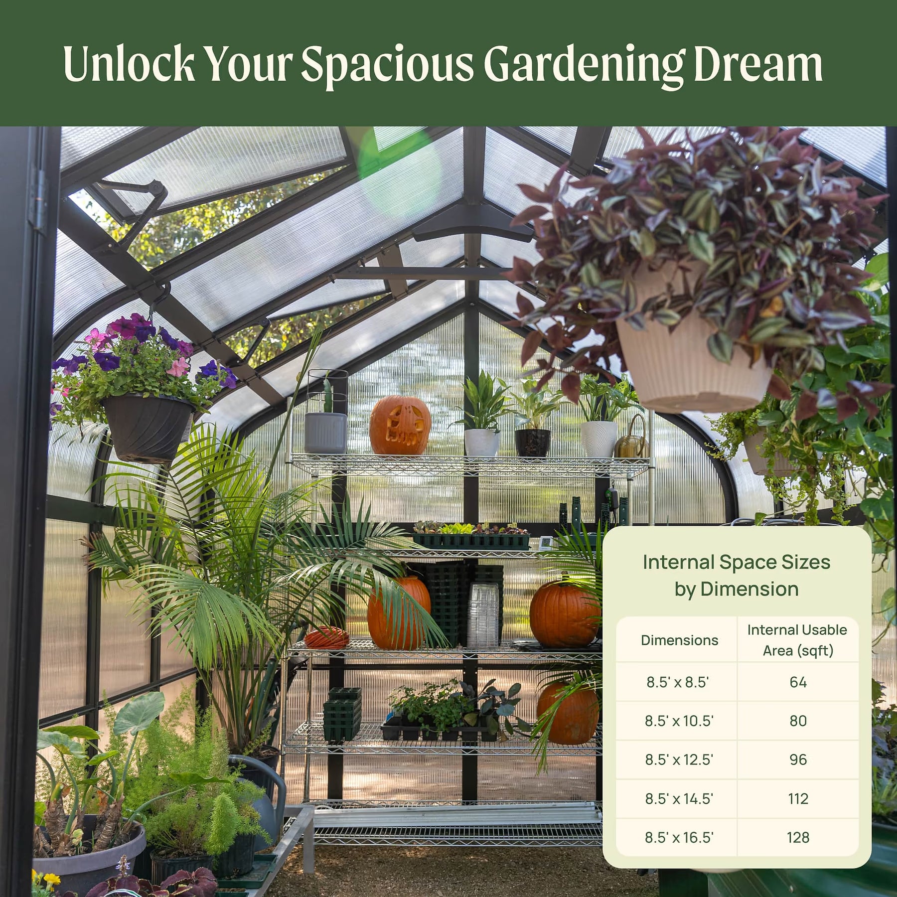 Vego Pacific Greenhouse - 8.5 ft Wide