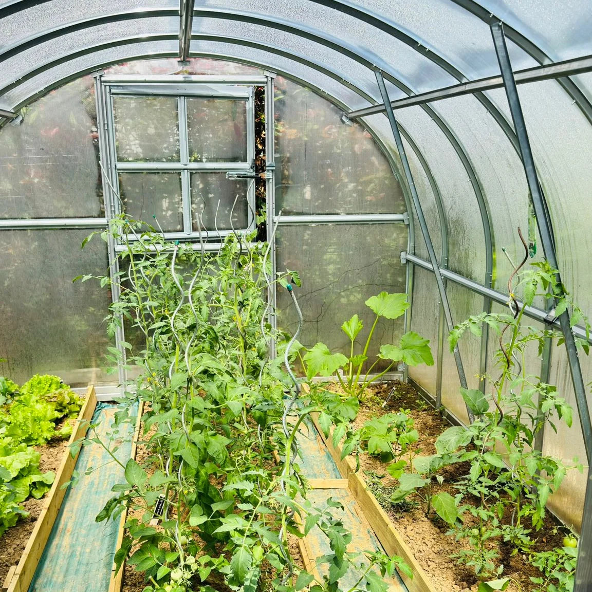 The Timeless Polycarbonate Hoop House