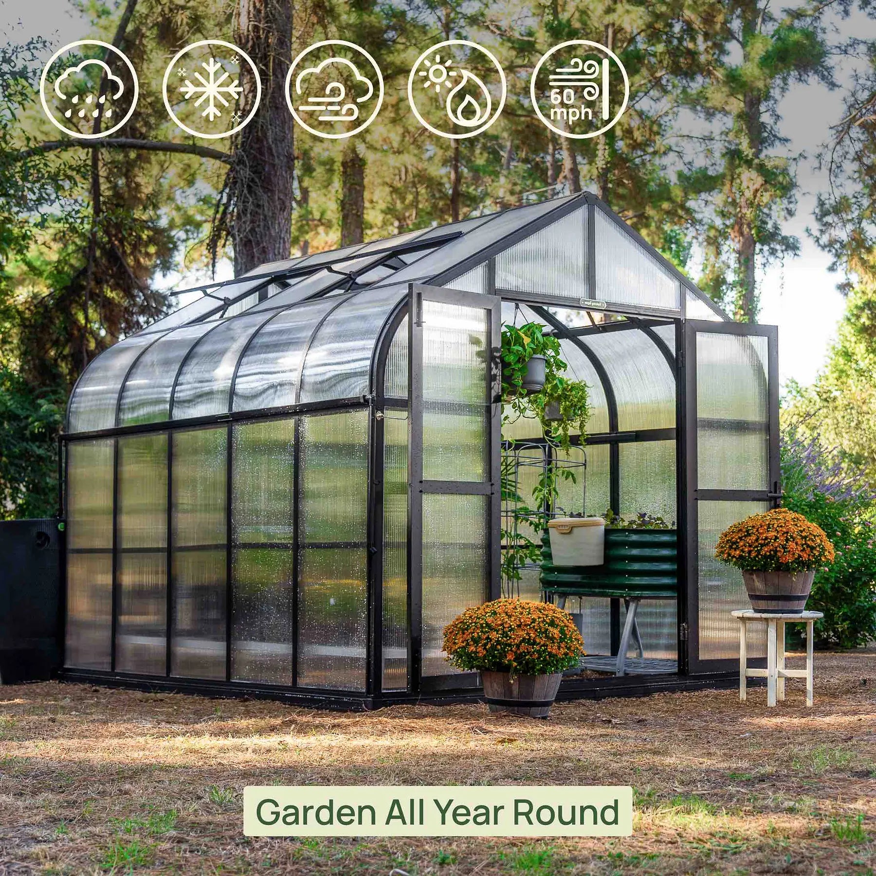 Vego Pacific Greenhouse - 8.5 ft Wide