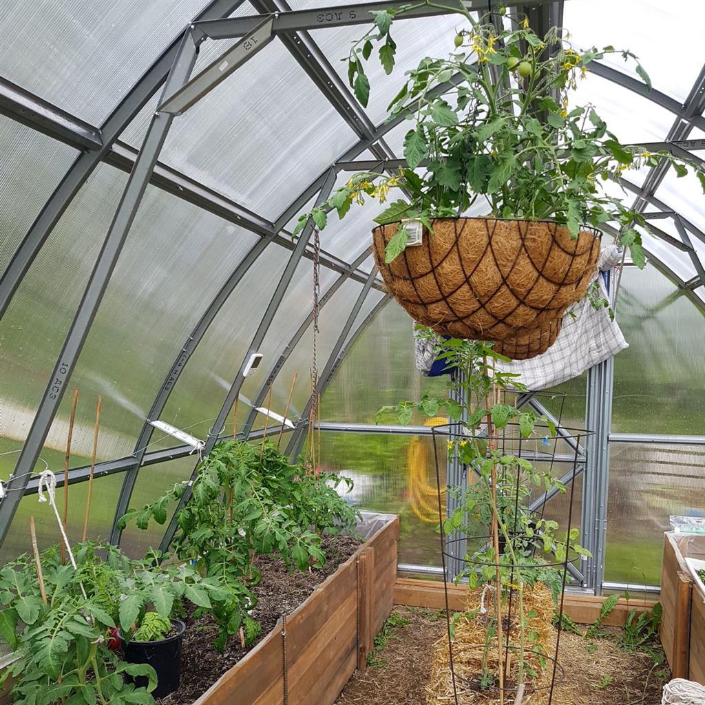 Sungrow Urban DIY Greenhouse Kit 10 x 13 ft with 6mm TwinWall Polycarbonate Panels and Galvanized Steel Frame