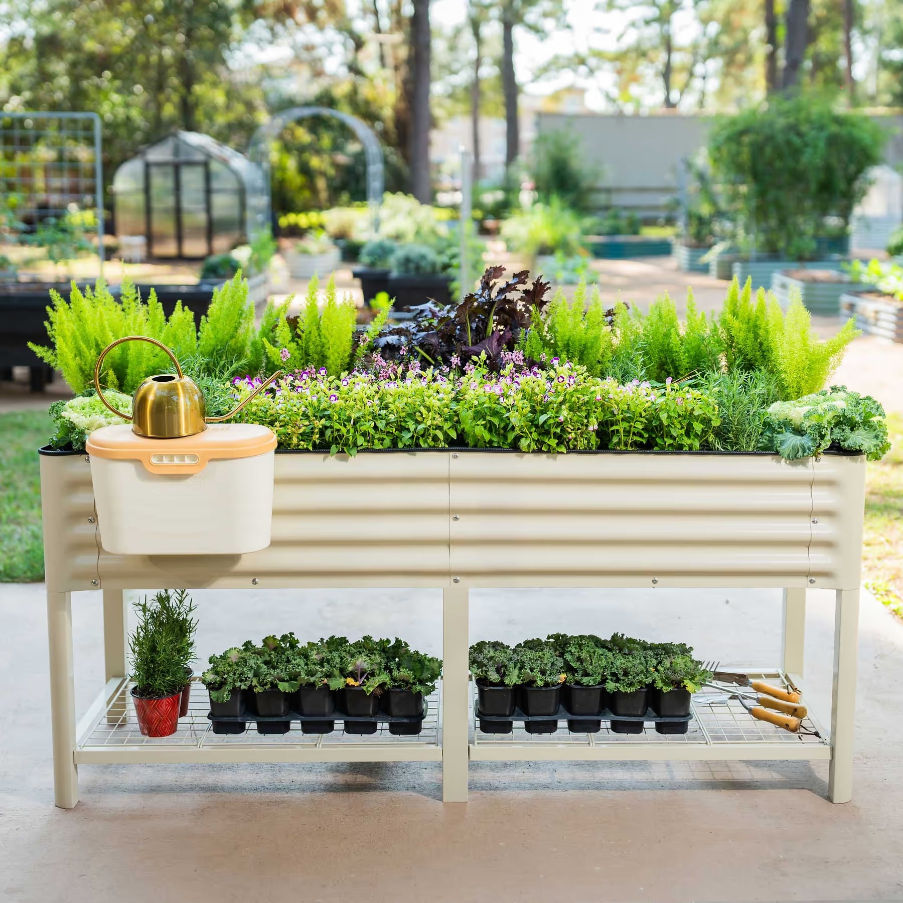 Elevated Garden Bed 2'x6' (with wheels)
