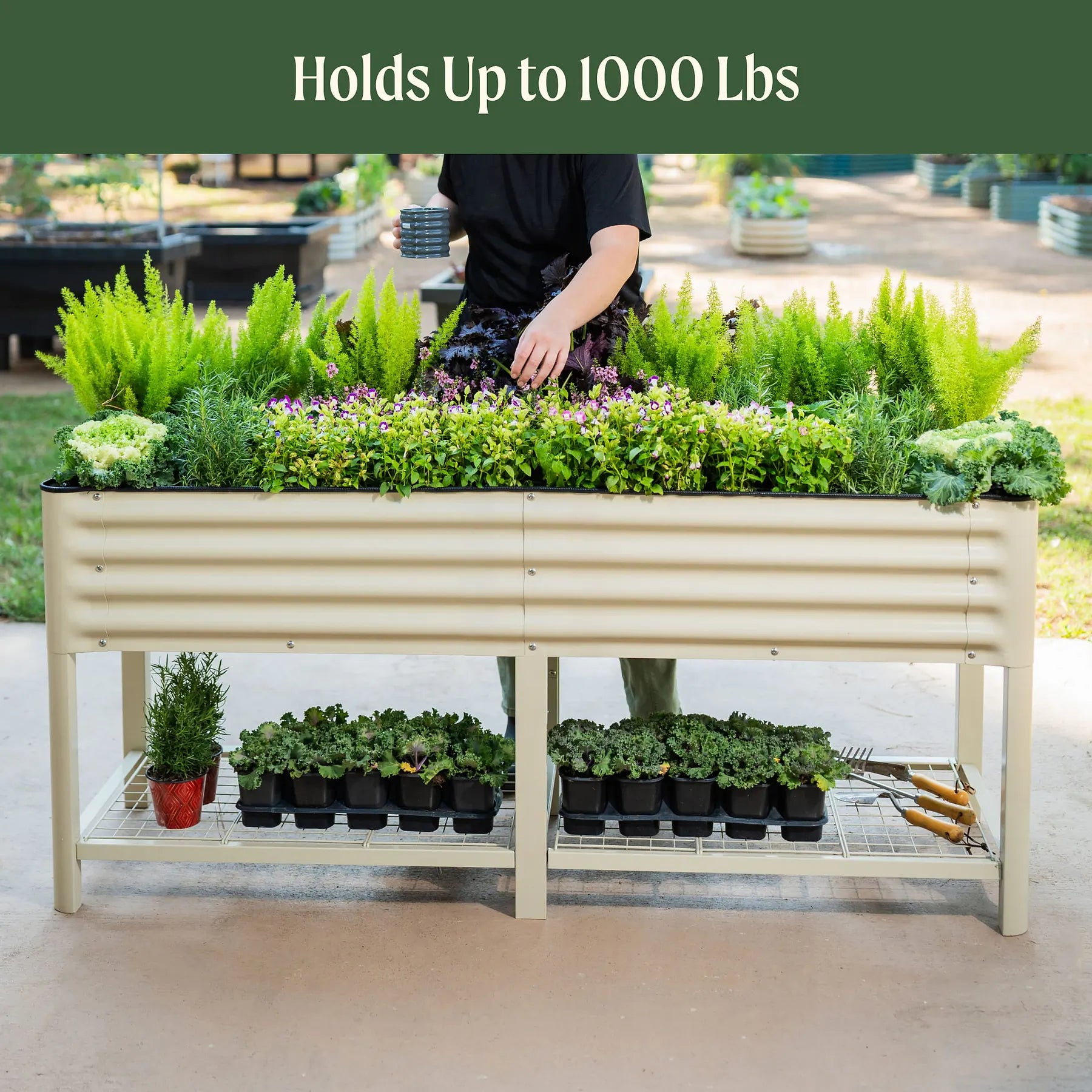 Elevated Garden Bed 2'x6' (with wheels)